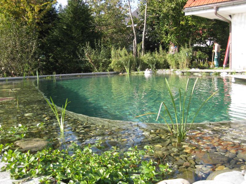 Graf Gartenbau Schwimmteich Bern Schweiz