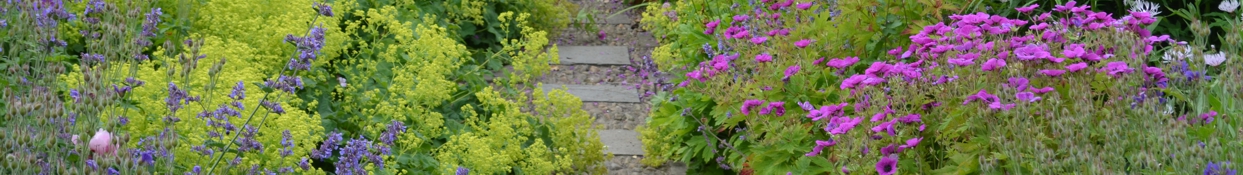 Graf Gartenbau Gartenpflege Badeteiche Und Schwimmteiche