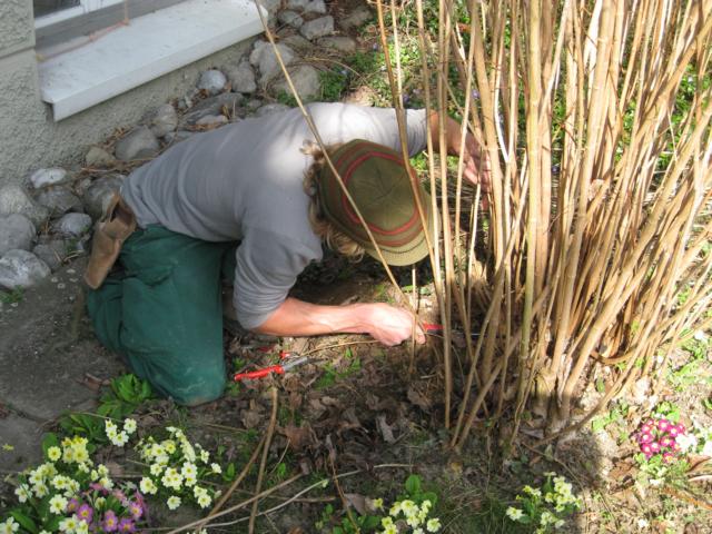 Graf Gartenbau Schwimmteich Bern Schweiz