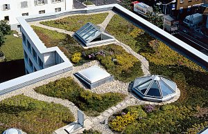Gartenprojekt