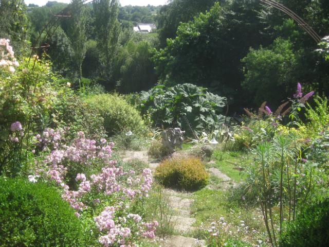 Een Tweejarige Bloemzaden Tuin En Terras Den Tulpenbaum Trifft Man Nicht So Oft In Den Garten Pflanzen Sie Jetzt Einen Gamestingr Com