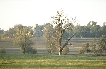 englische Grten