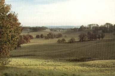petworth