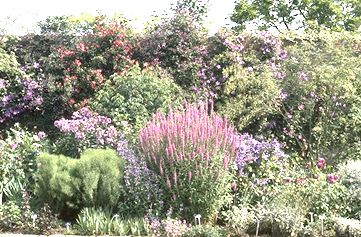 sissinghurst