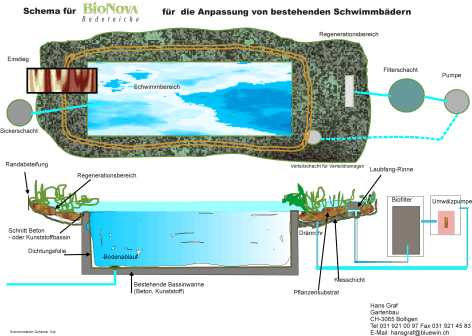 Schwimmteichschema für umgebautes Schwimmbad