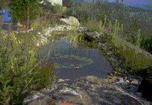 Weiher