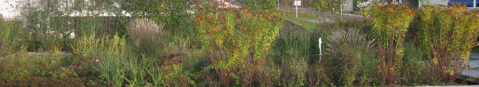 Naturpool