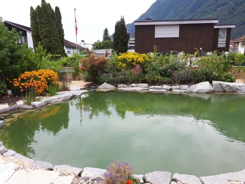 Naturpool natürlich